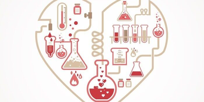 LOVE impact: 10 expressions biologiques de l’Amour