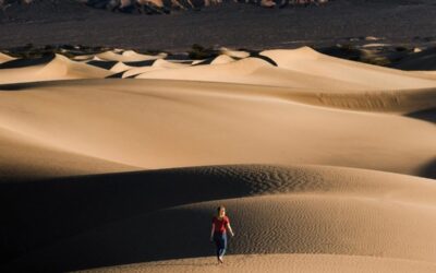 Célibataire: le Voyageur Insaisissable ou L’Art de l’Évasion Émotionnelle